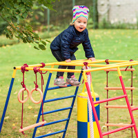Набори для шведської стінки, підвісні